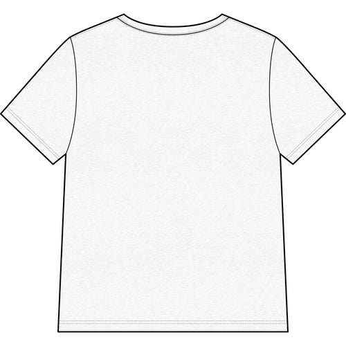 Mystic Lion V-Neck Tee — Psychedelic Spiritual Lion Graphic for Women